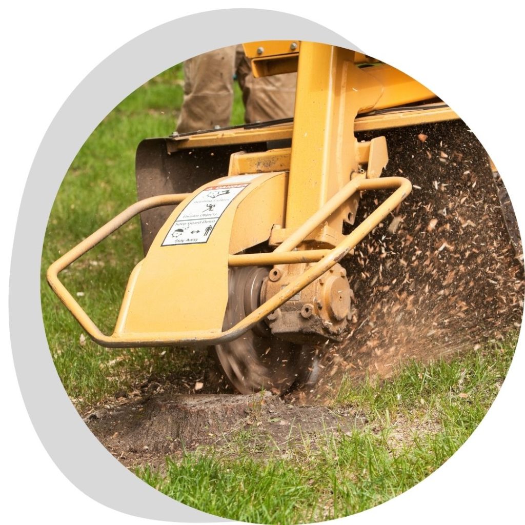 stump grinding