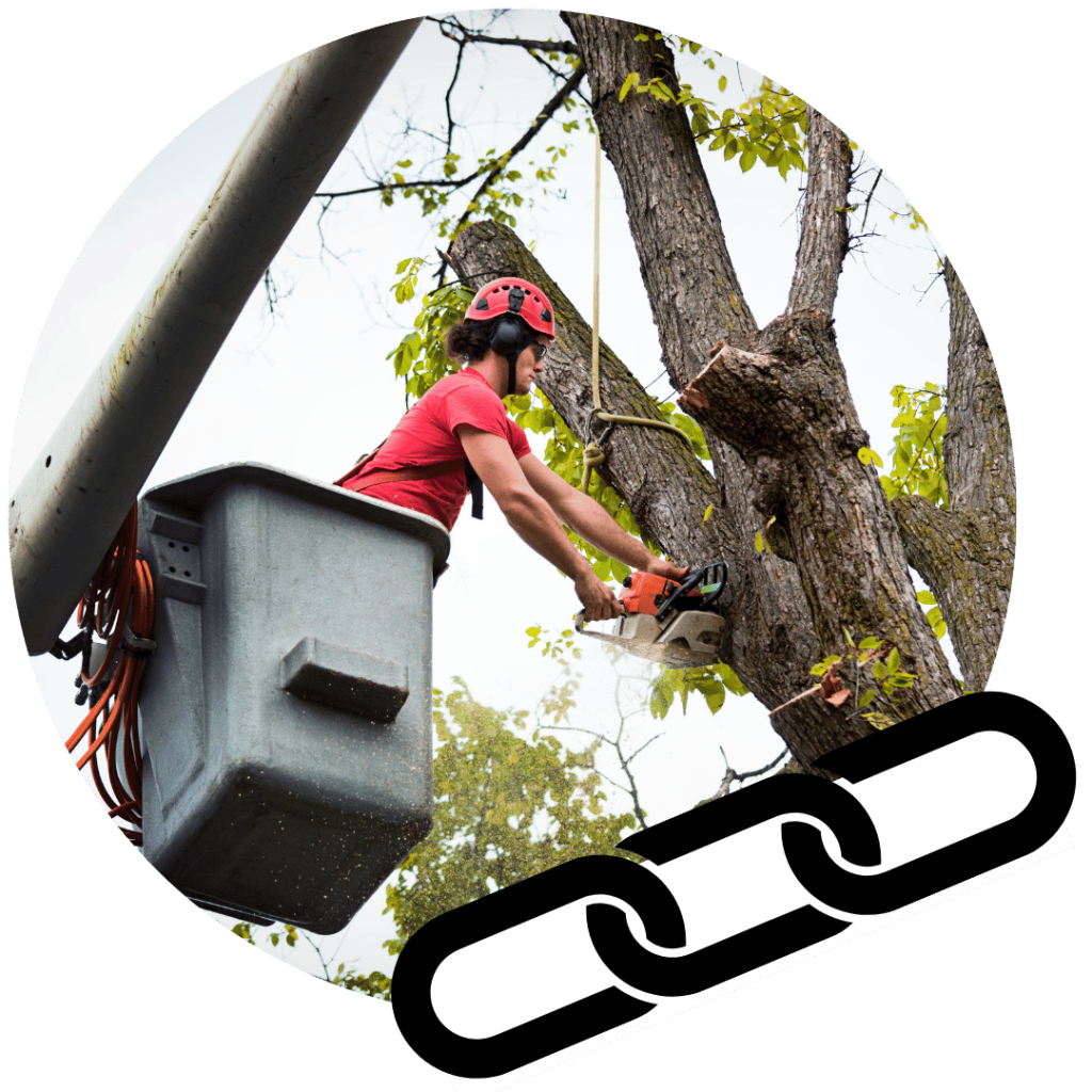 arborist in lift cuts tree